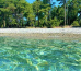 Pine beach Гостевой дом 1